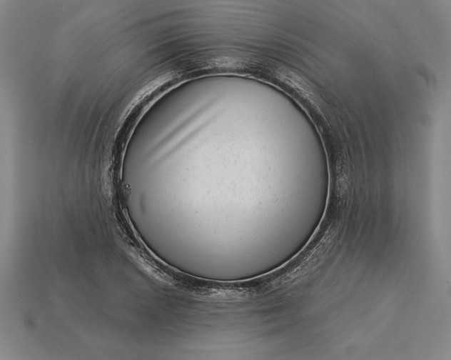 X0000115281026200911131824