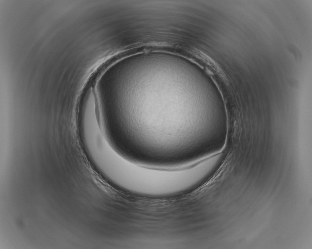 X0000115281027200911131824