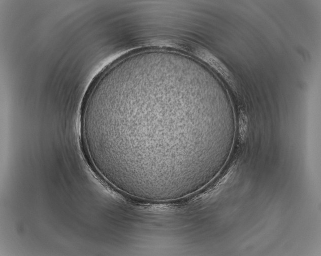 X0000115281028200911131824