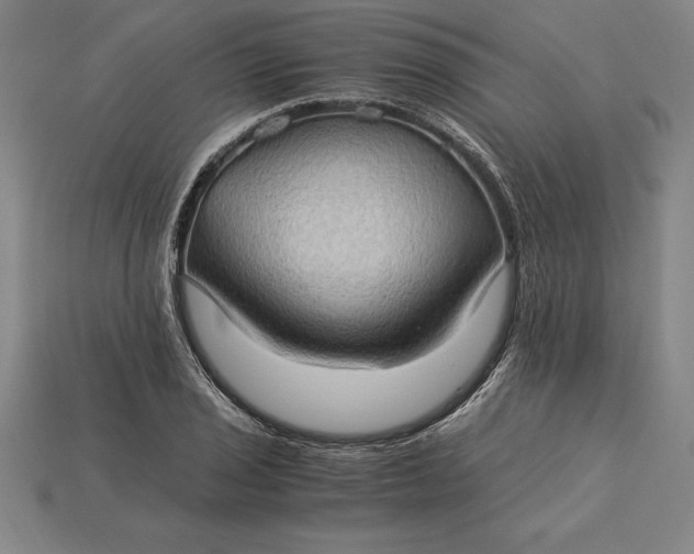 X0000115281029200911131824