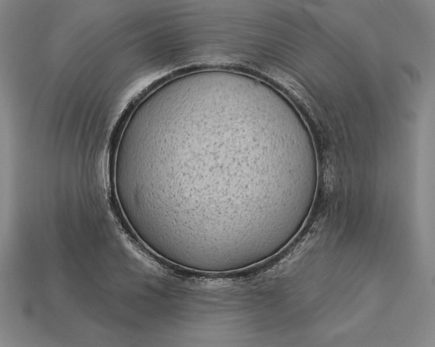 X0000115281030200911131824