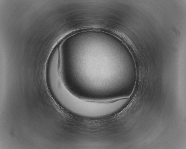 X0000115281031200911131824