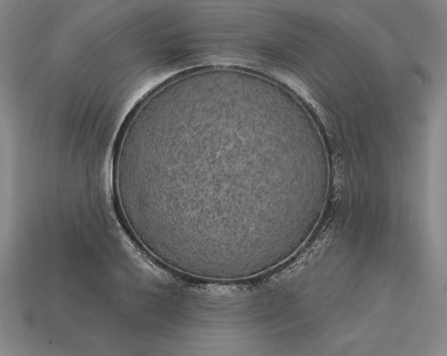 X0000115281032200911131824