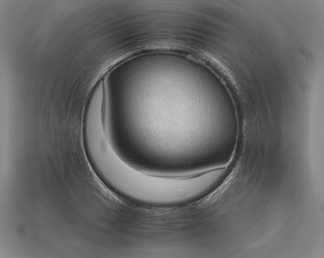 X0000115281033200911131824