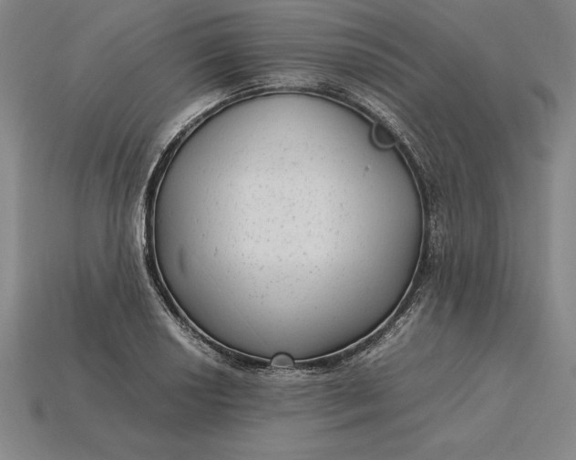 X0000115281034200911131824