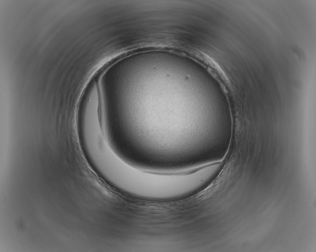 X0000115281035200911131824