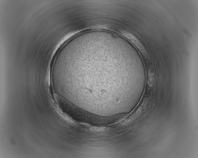 X0000115281036200911131824