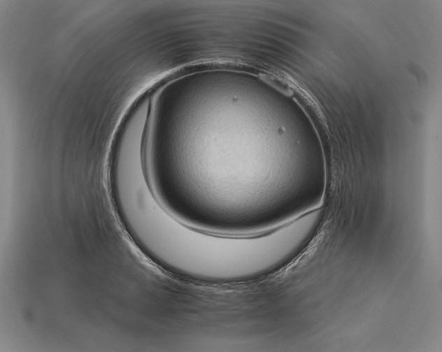 X0000115281037200911131824