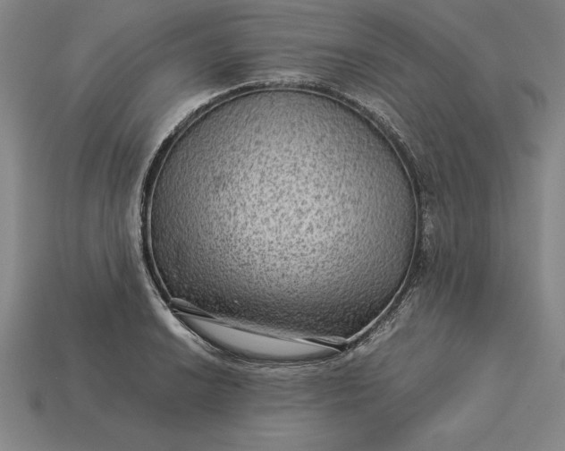 X0000115281038200911131824