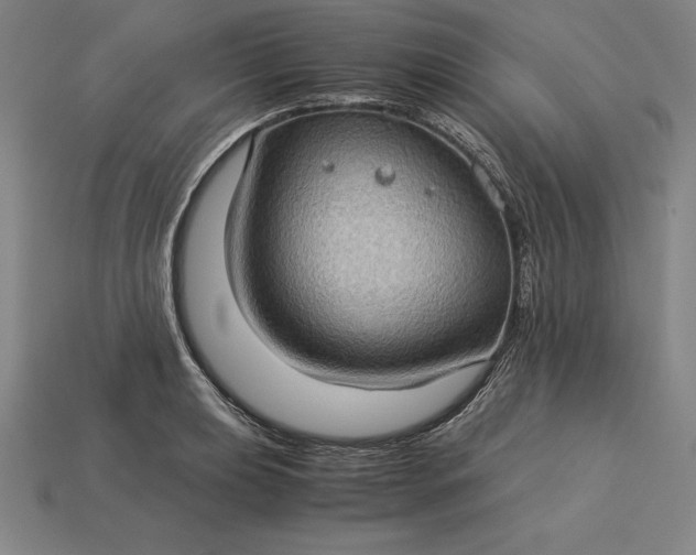 X0000115281039200911131824