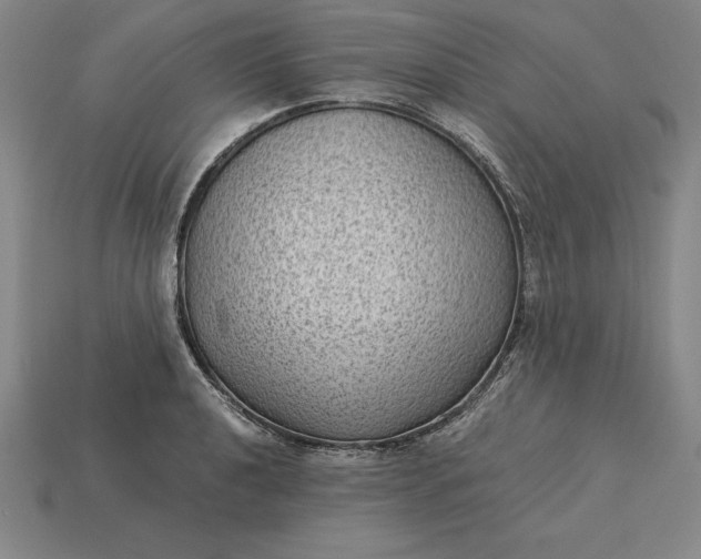 X0000115281040200911131824