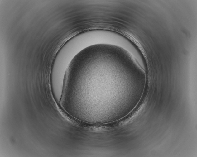 X0000115281041200911131825