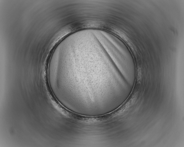 X0000115281042200911131825