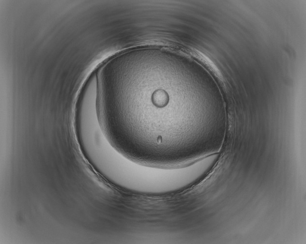 X0000115281043200911131825