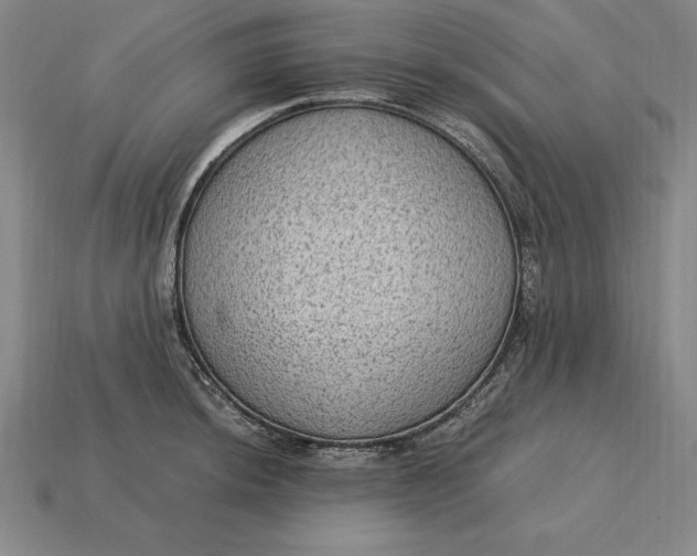 X0000115281044200911131825