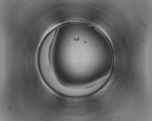 X0000115281045200911131825