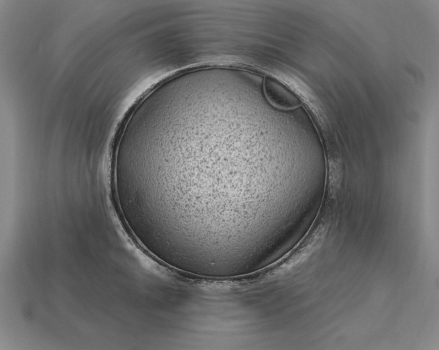 X0000115281046200911131825