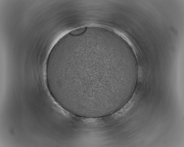 X0000115281048200911131825