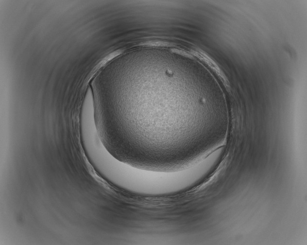 X0000115281049200911131825