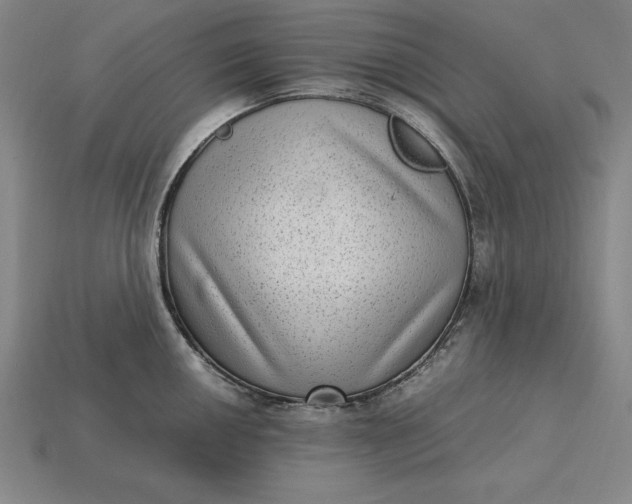 X0000115281050200911131825