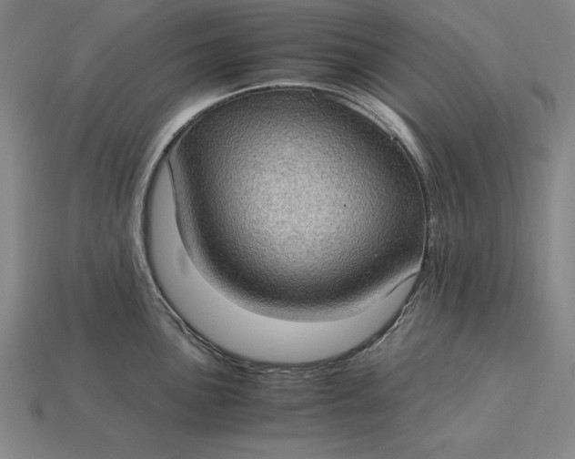 X0000115281051200911131825