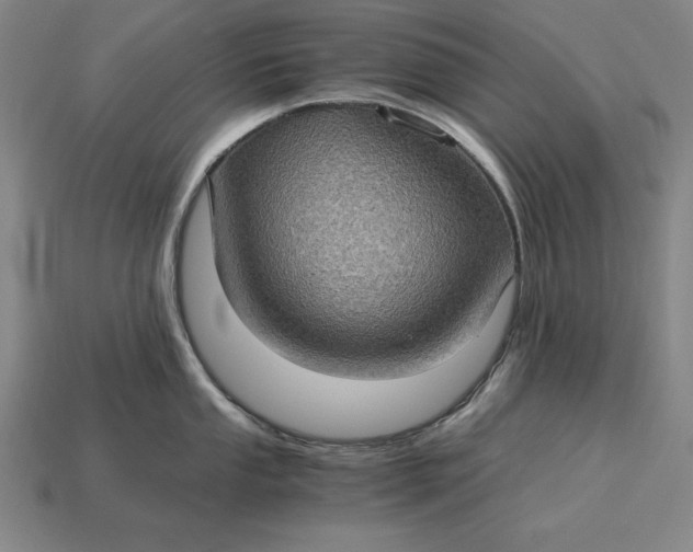 X0000115281053200911131825