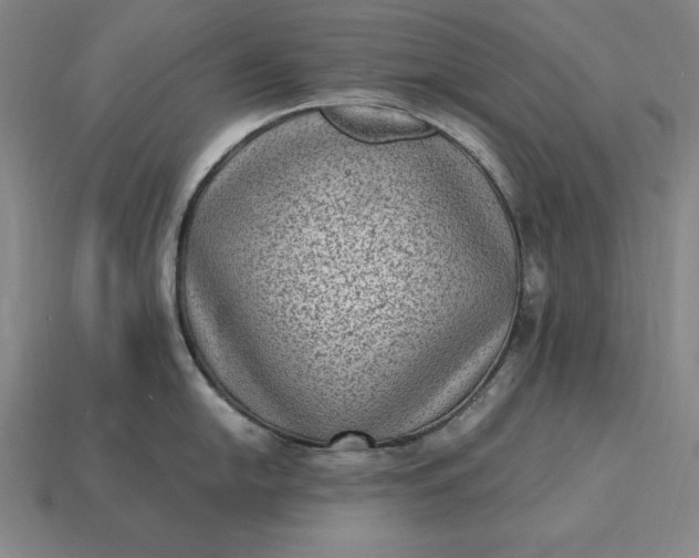 X0000115281054200911131825