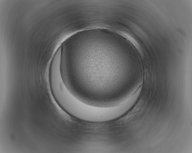 X0000115281055200911131825