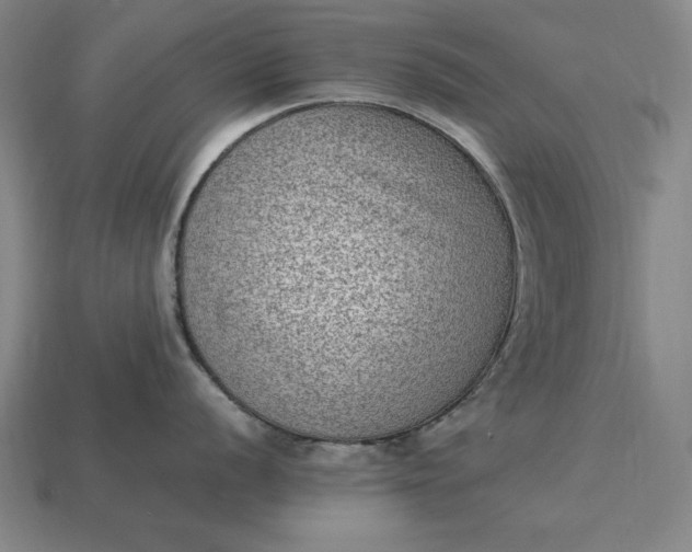 X0000115281056200911131825