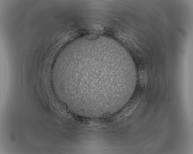 X0000115281057200911131824