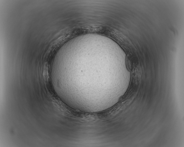 X0000115281058200911131824