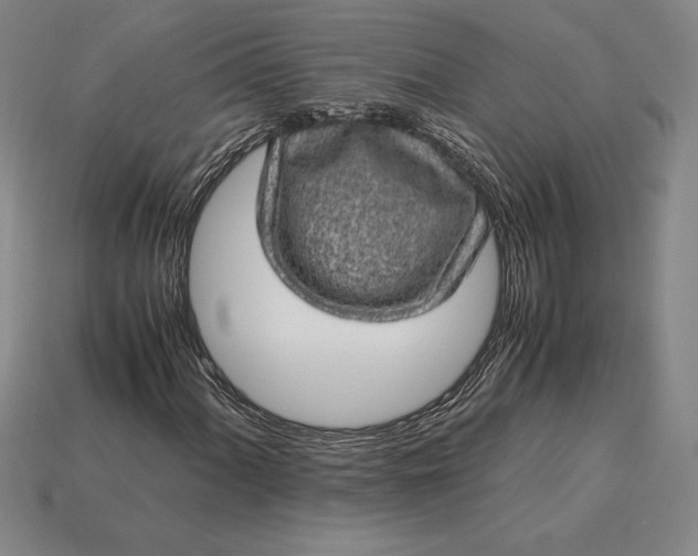 X0000115281060200911131824