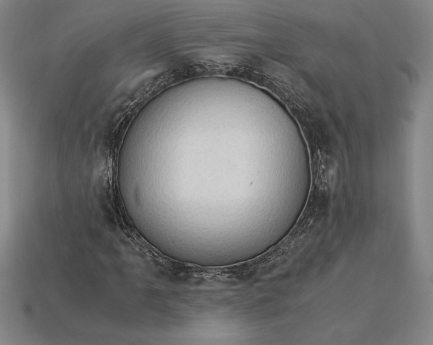 X0000115281061200911131824