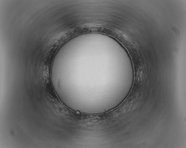 X0000115281062200911131824