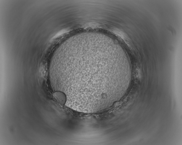 X0000115281063200911131824