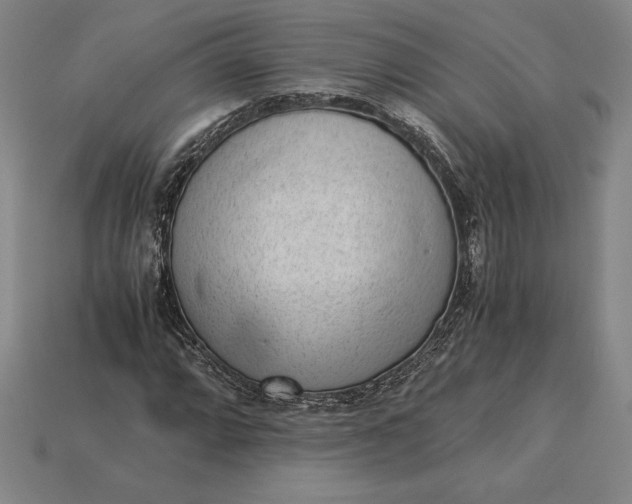 X0000115281064200911131824