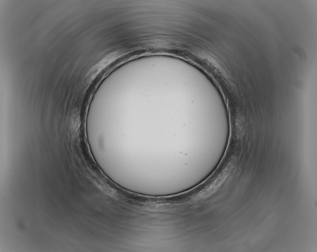 X0000115281065200911131824