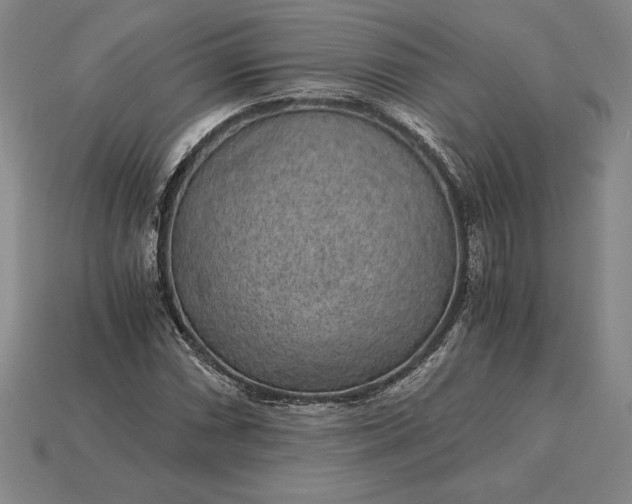 X0000115281066200911131824