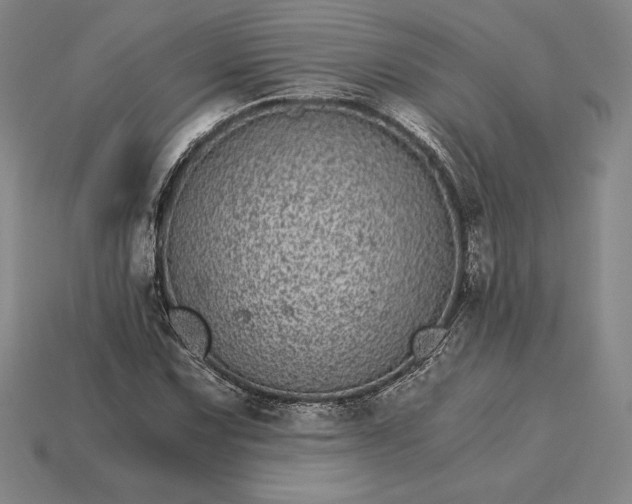 X0000115281067200911131824