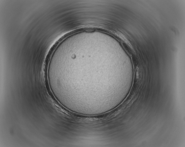 X0000115281068200911131824