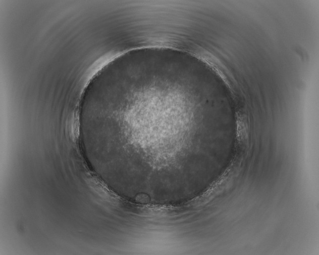 X0000115281069200911131824