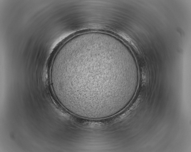 X0000115281070200911131824