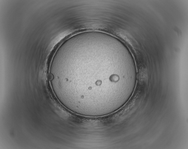 X0000115281071200911131824