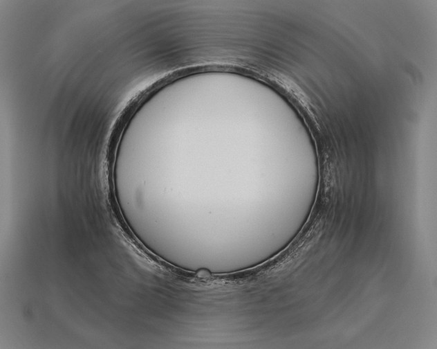 X0000115281072200911131824