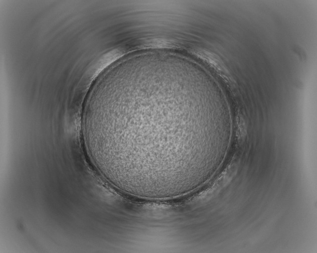 X0000115281073200911131824