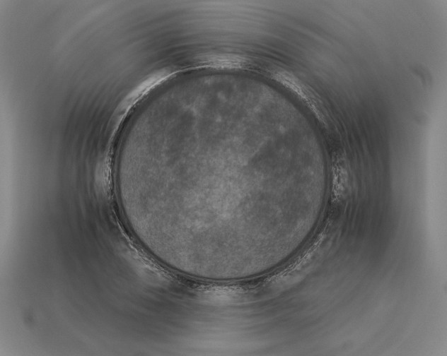 X0000115281074200911131824