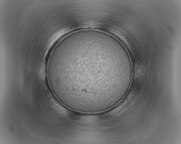 X0000115281075200911131824