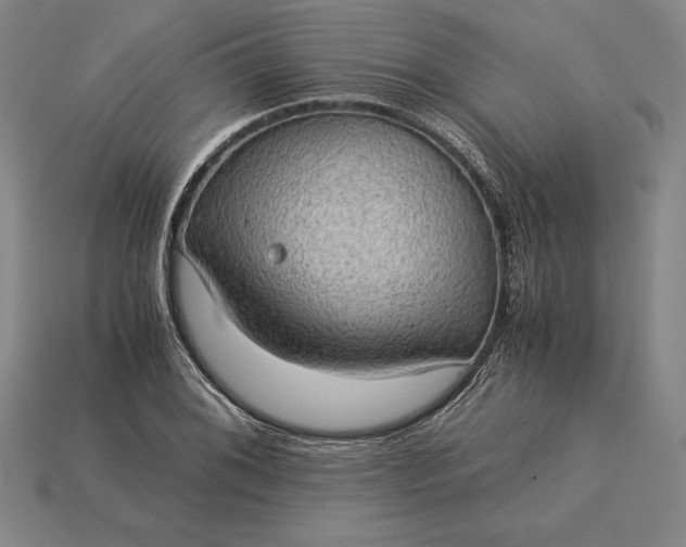 X0000115281076200911131824