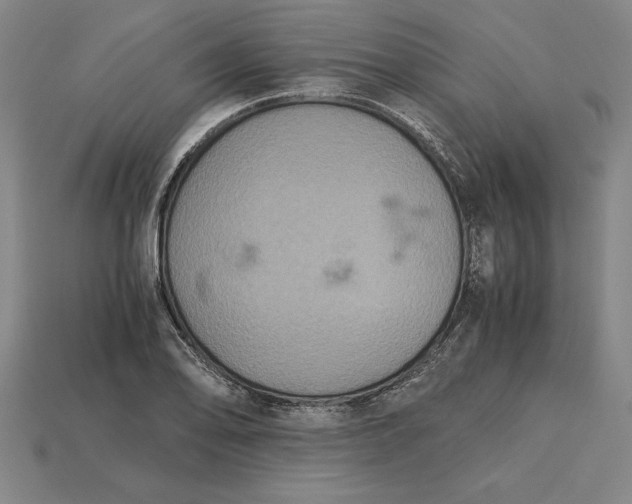 X0000115281078200911131824