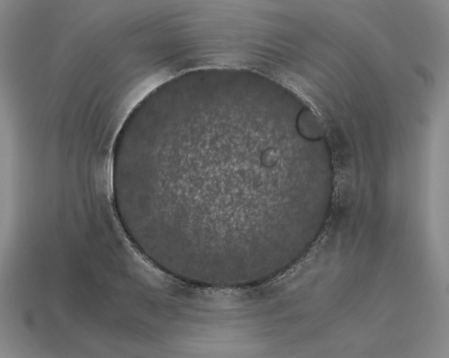 X0000115281079200911131824